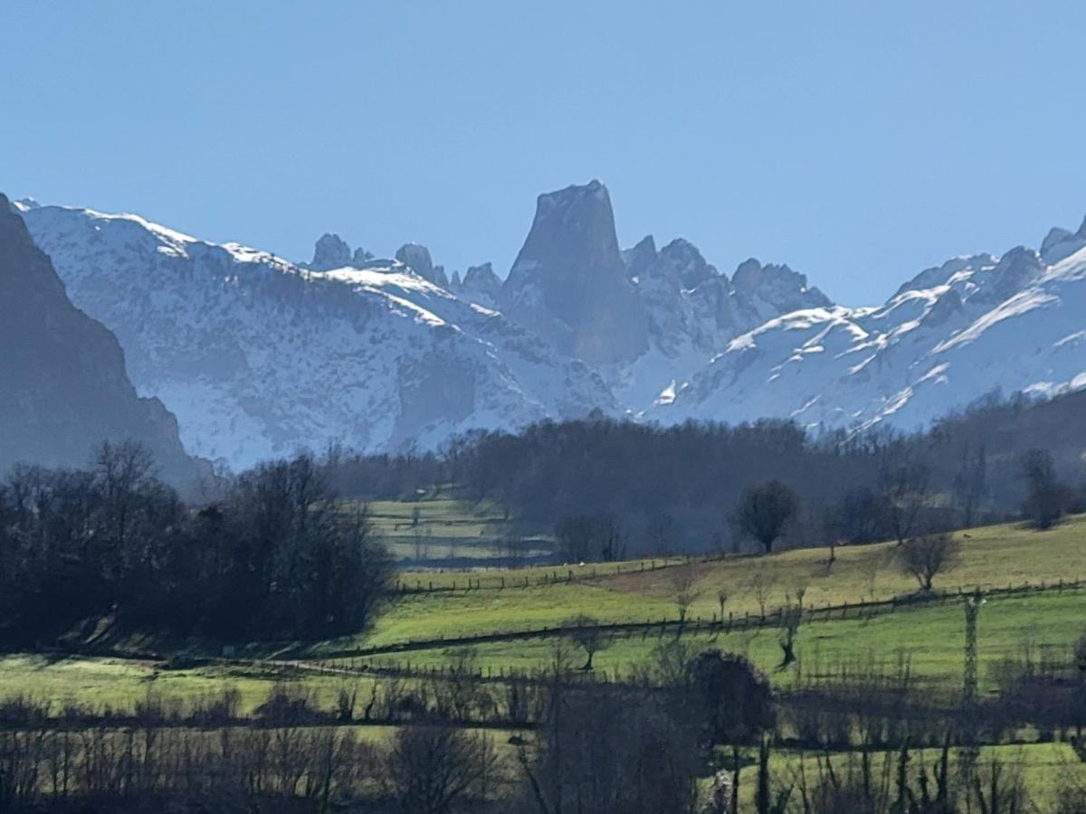 Ribeles Luxury Flat Apartment Arenas De Cabrales Exterior photo